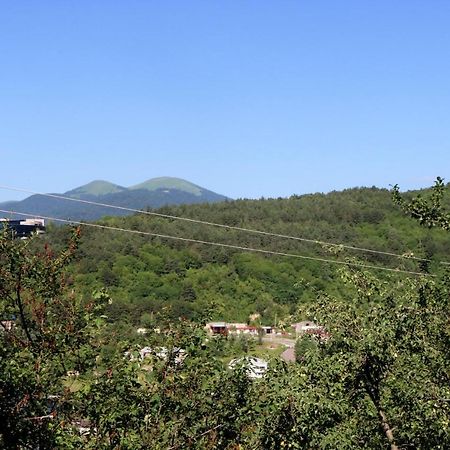 Dilijan Town Inn Exterior foto